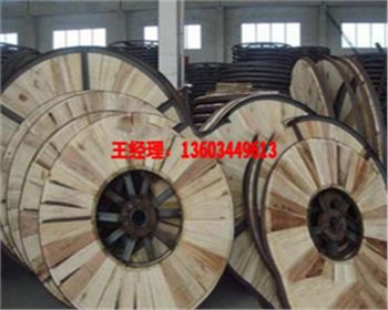 鐵木電纜盤(pán)廠家廠區(qū)風(fēng)貌